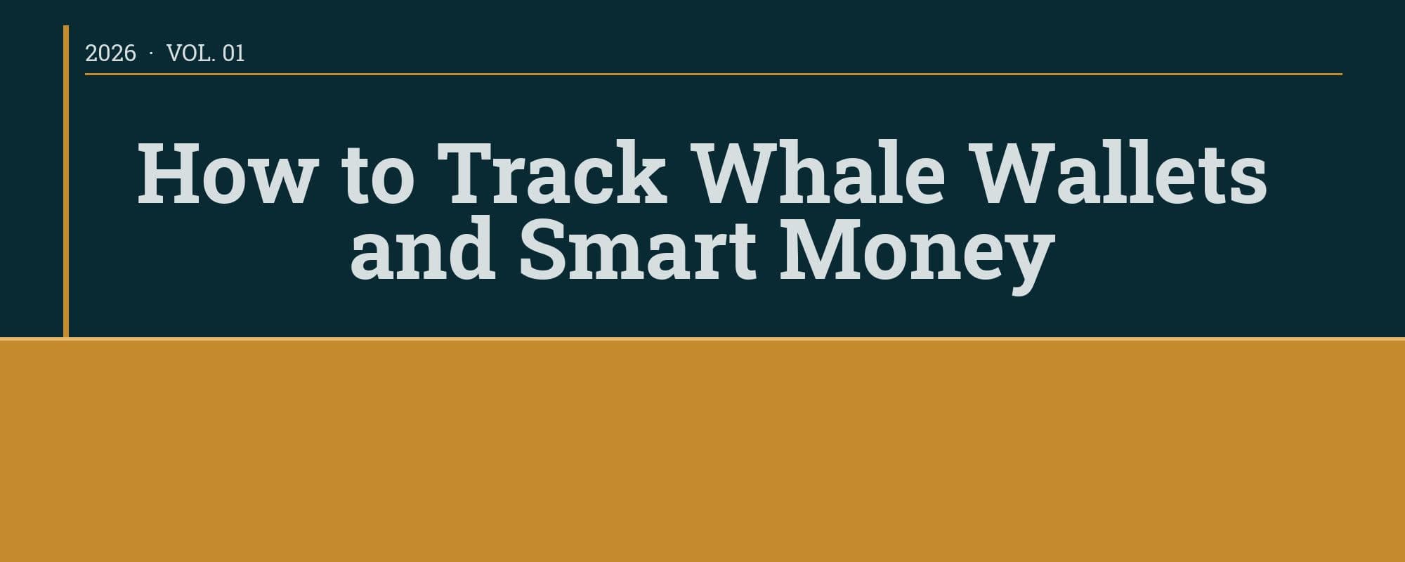 Cover image for the article "How to Track Whale Wallets and Smart Money (And Actually Profit From It)"